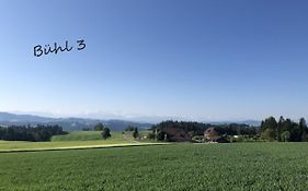 Bühl 3